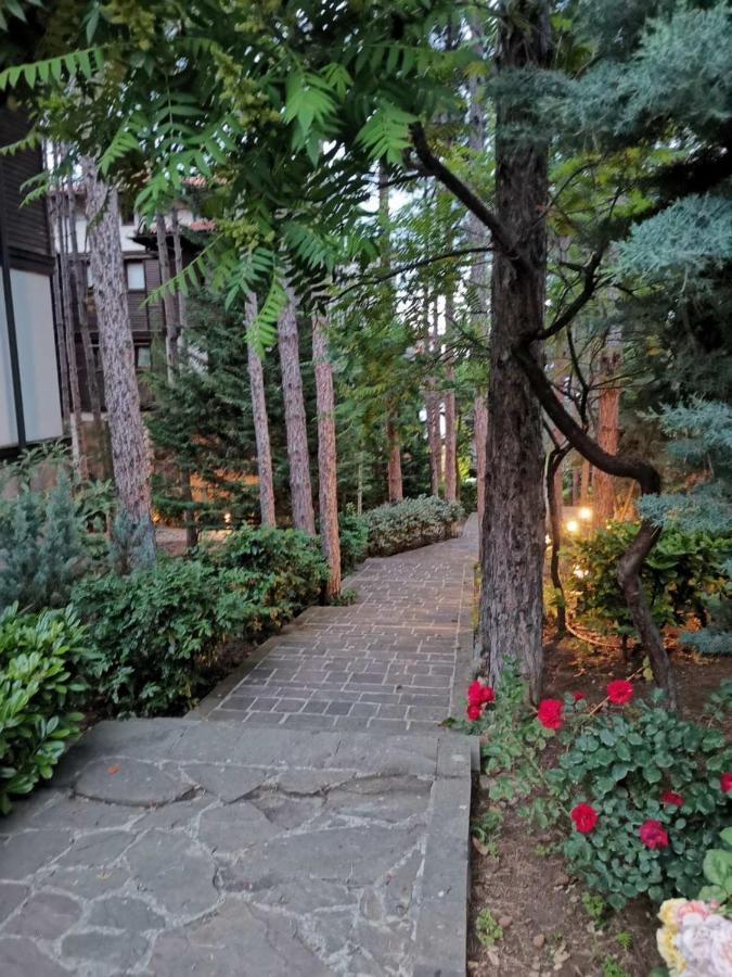 Quiet Apartment With Big Terrace In Santa Marina With Parking 소조폴 외부 사진