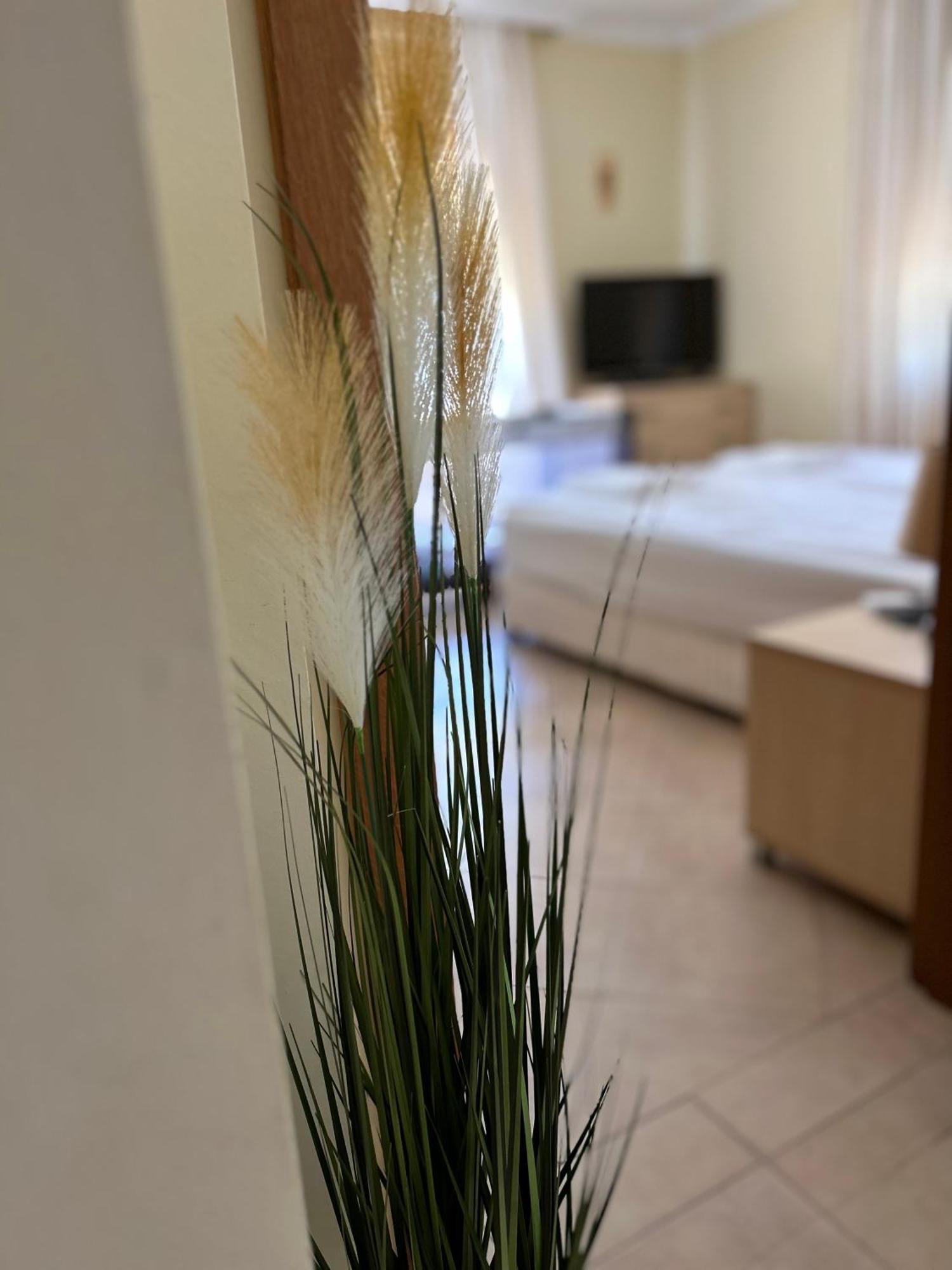 Quiet Apartment With Big Terrace In Santa Marina With Parking 소조폴 외부 사진